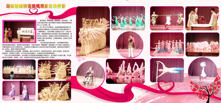 湖南永利集团赞助燕赵·恒爱残疾人艺术团圆满演出